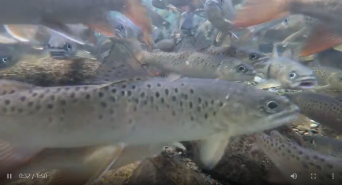 批注 2022-08-29 153554